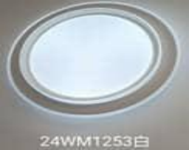 plafonier led vip 24W吸顶灯1253白